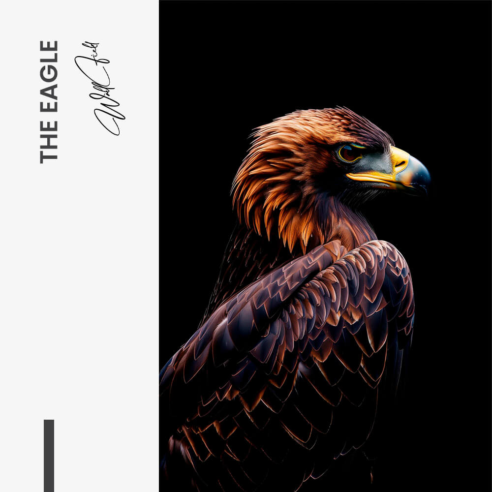 The Eagle – Vetro