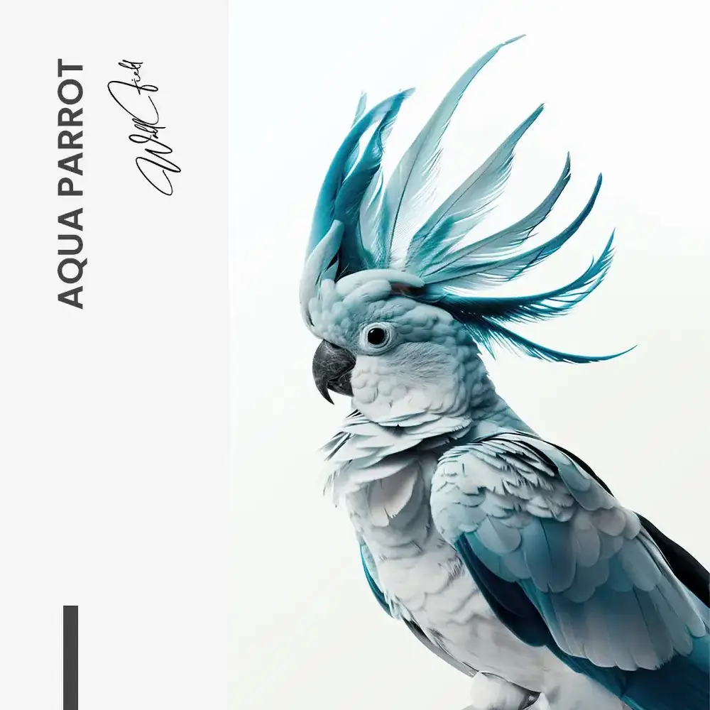 Aqua Parrot – Vetro