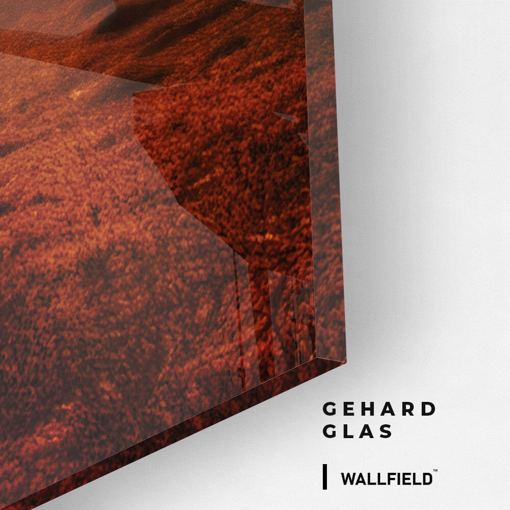 Elephant On The Road - Glass