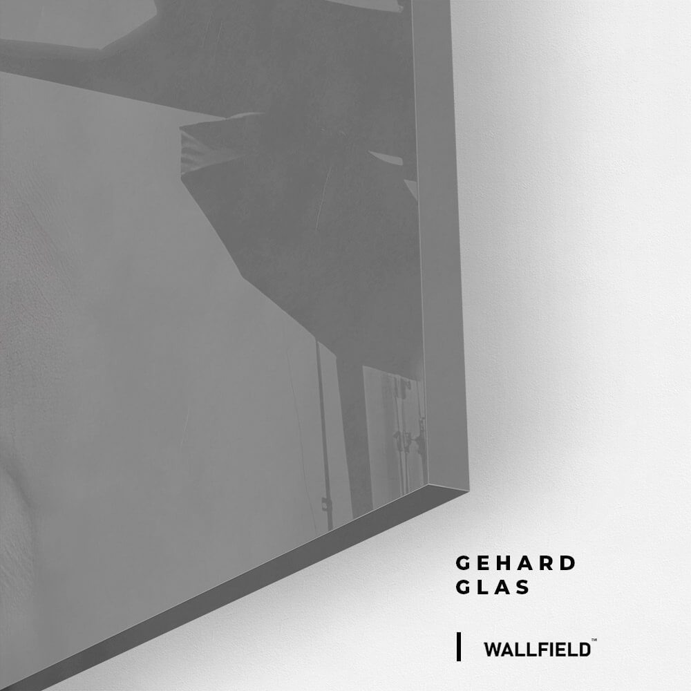 Bunny – Vetro