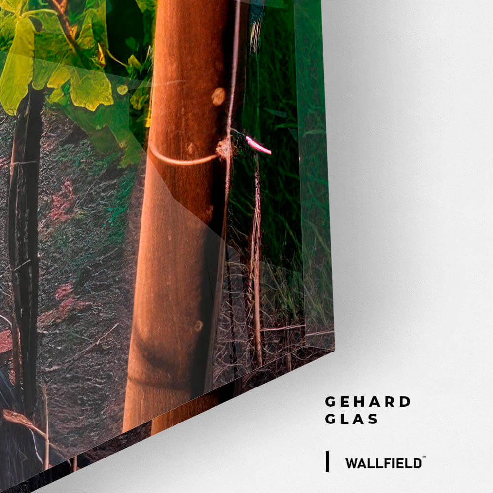 Vineyard – Vetro