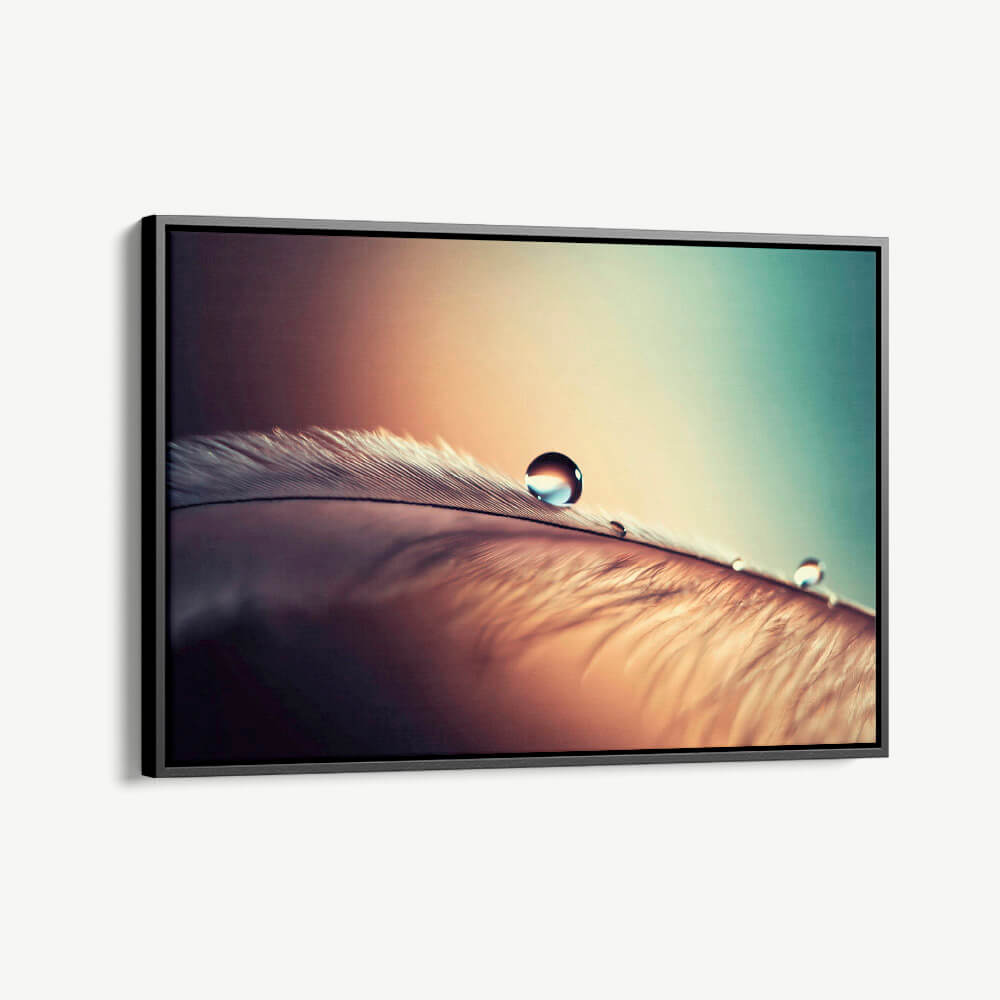 "Waterdrop"