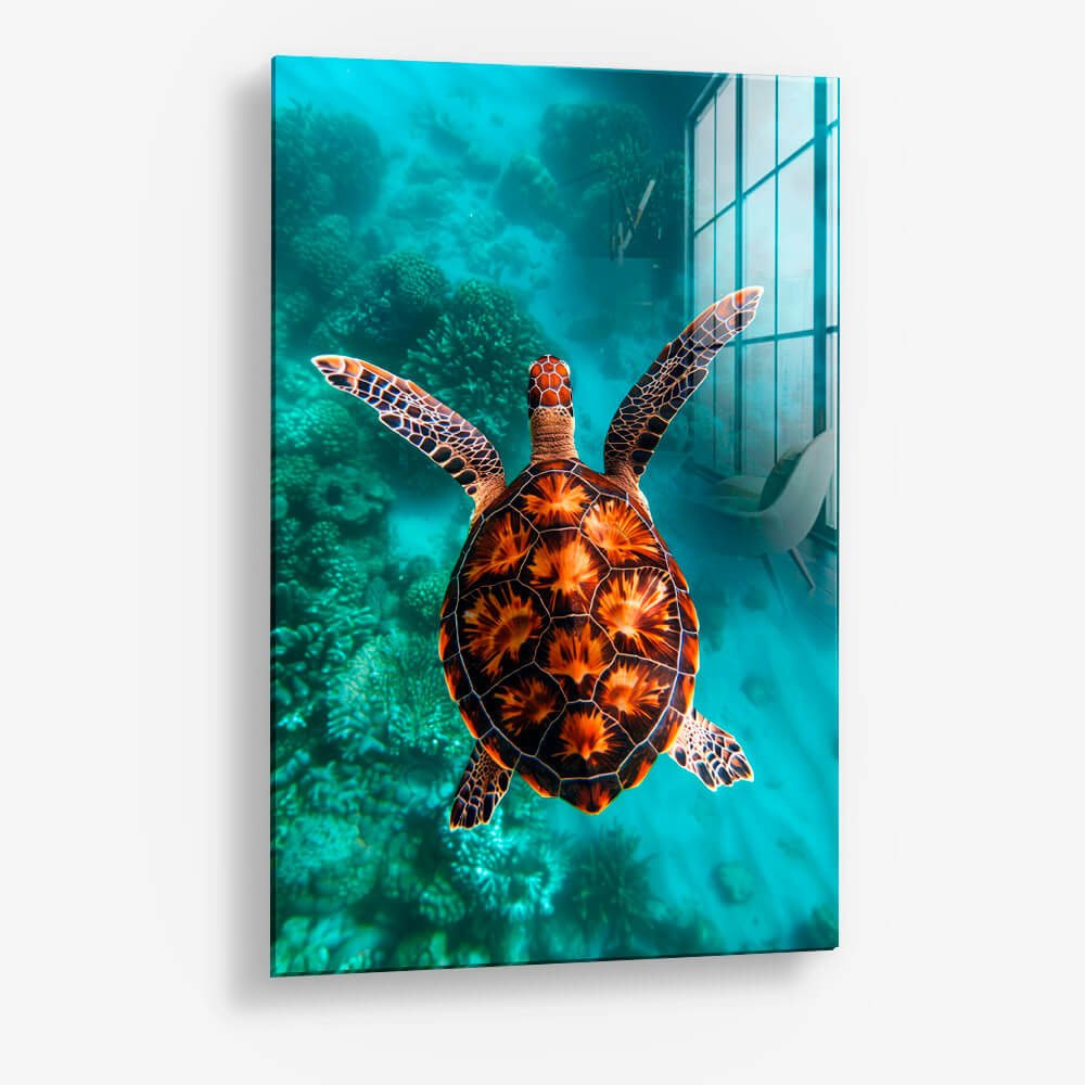 Sea Turtle VT – Vetro