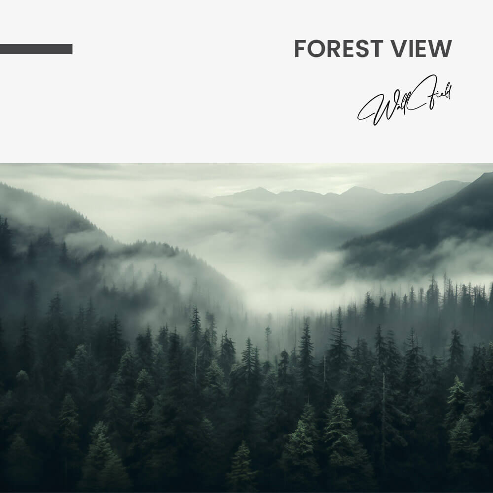 Forest View – Vetro