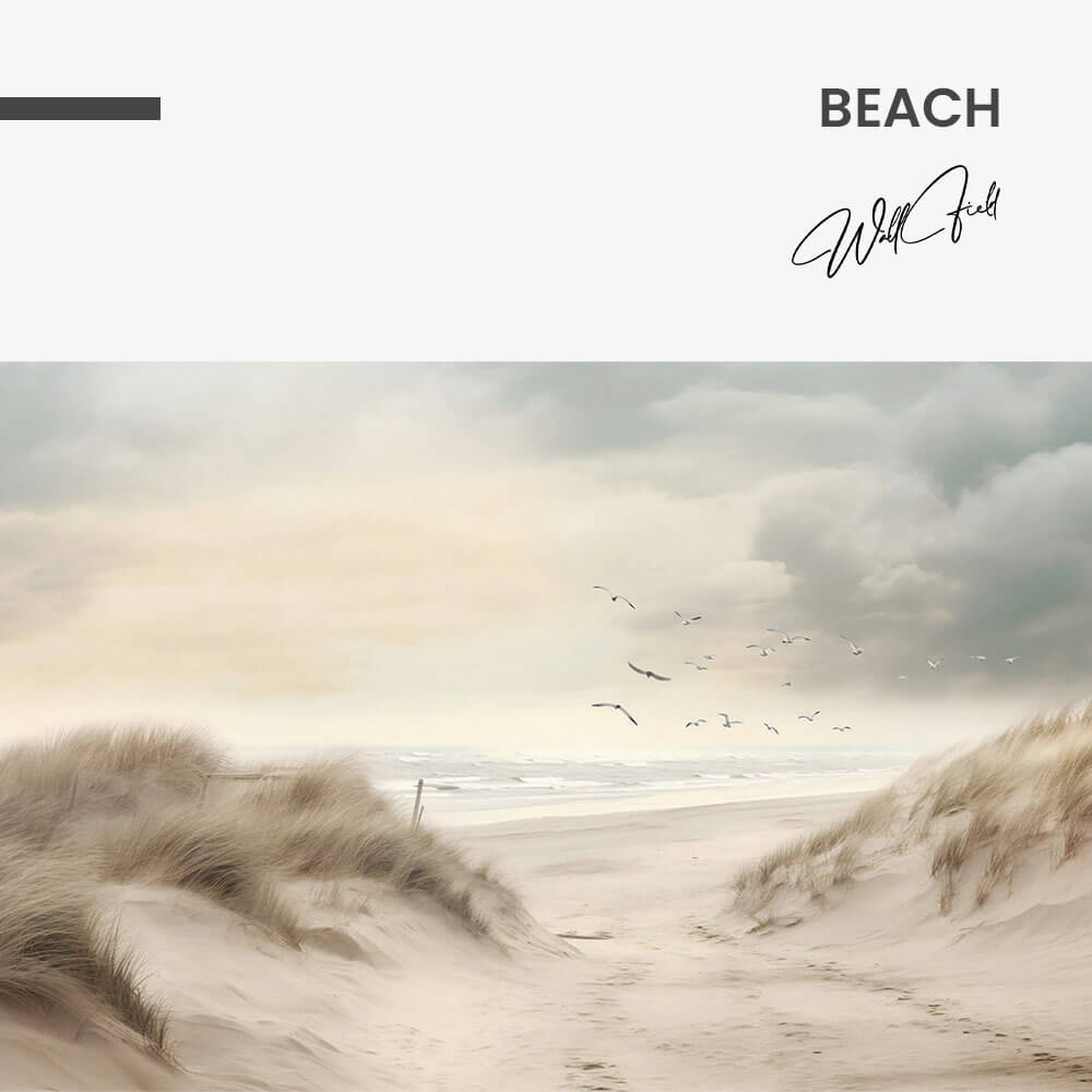 Beach - Vetro