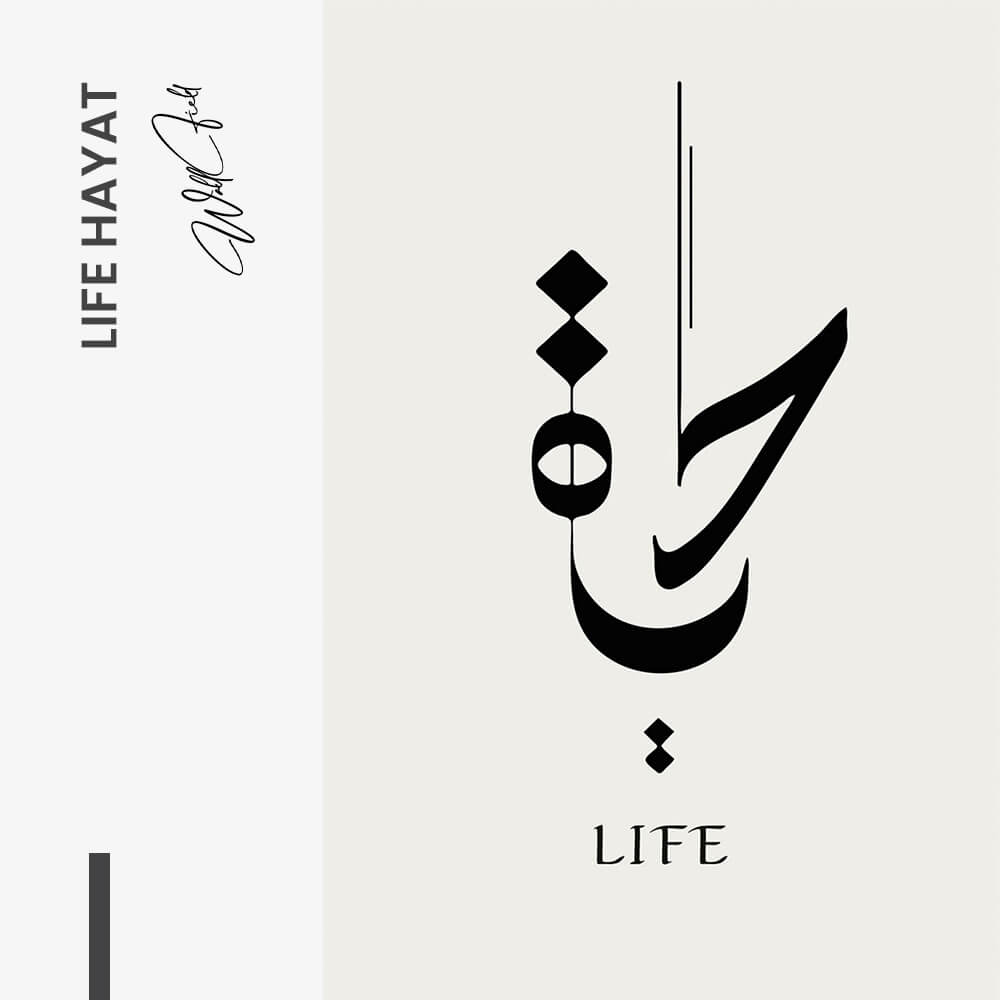 Life Hayat – Vetro