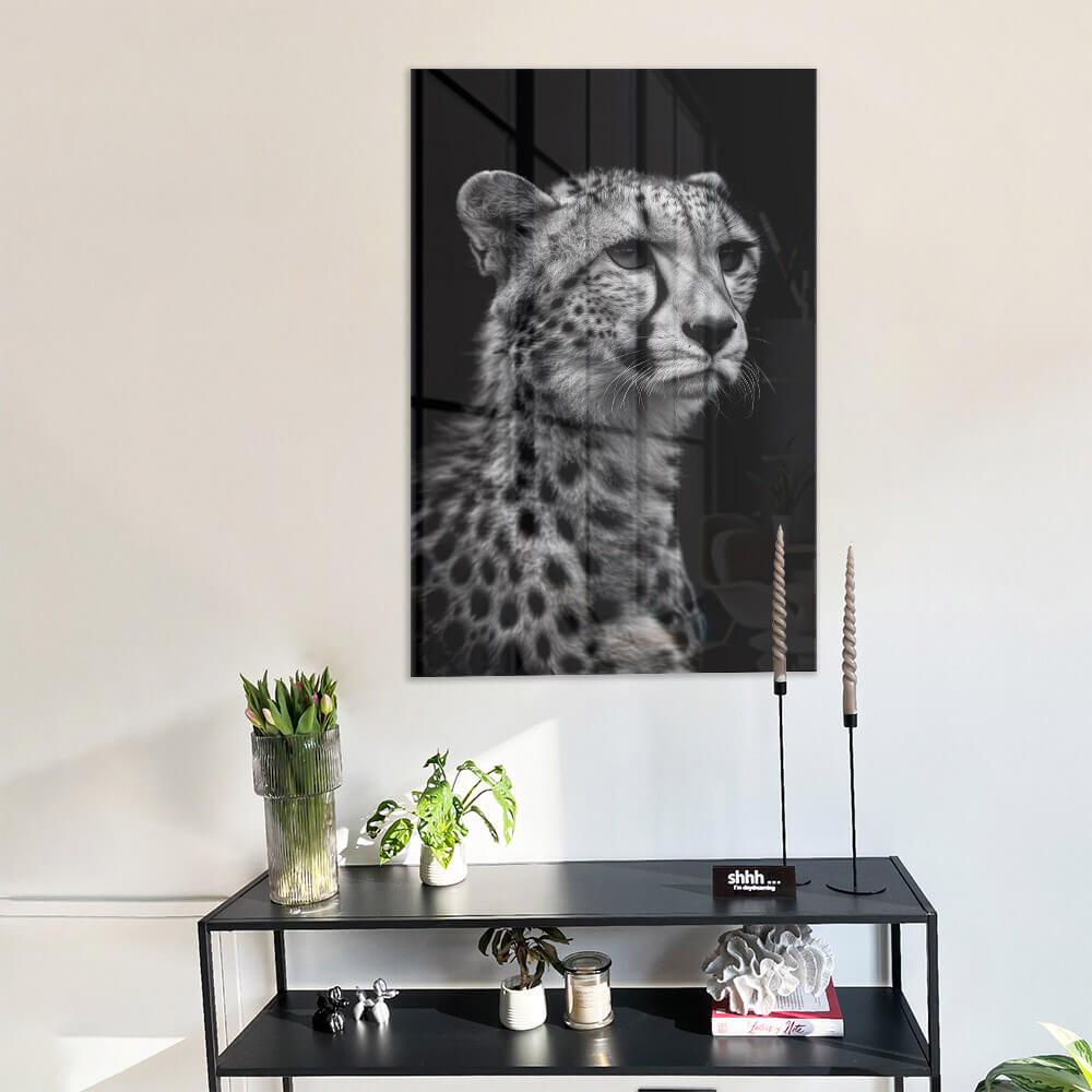 Cheetah's View – Vetro