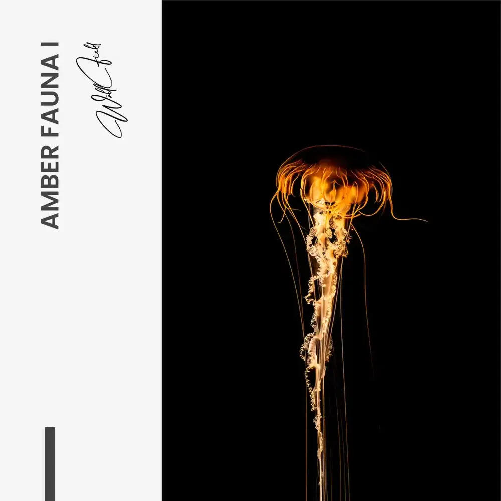 Amber Fauna I – Vetro