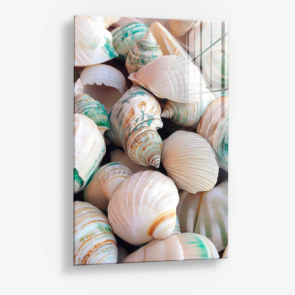 Sea Shell – Vetro
