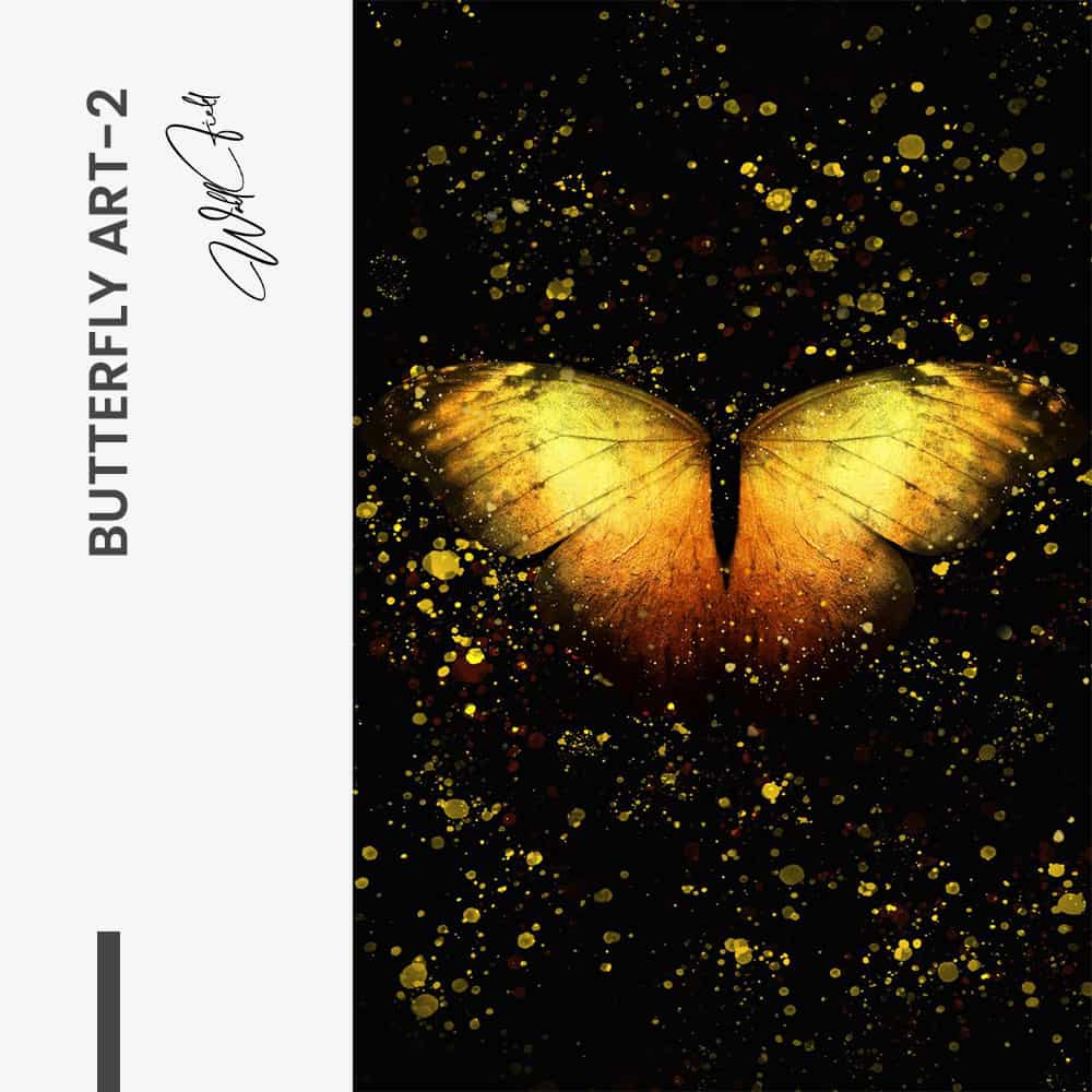 "Butterfly Art III"