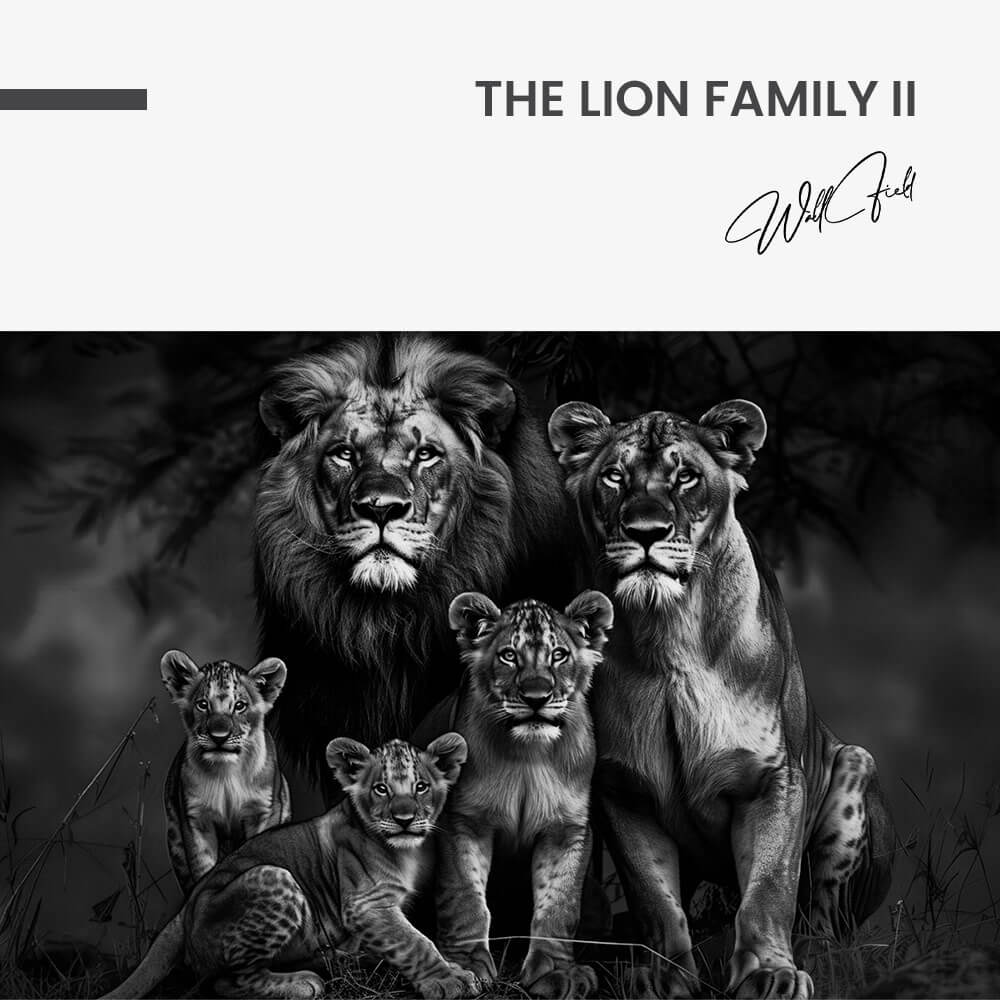 The Lion Family II – Vetro