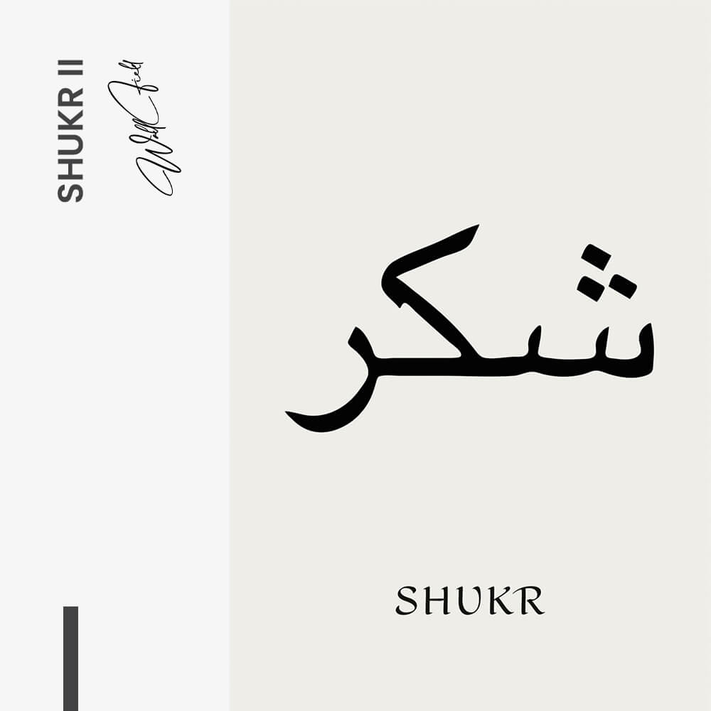 Shukr II – Vetro