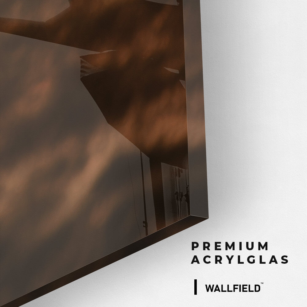 Wild Horses – Vetro