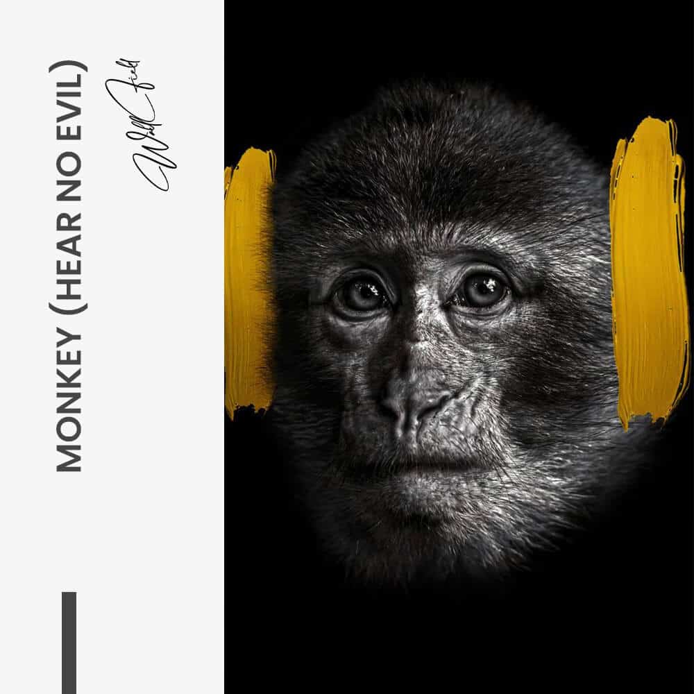 Bundle: “3 Wise Monkeys” (3x) - Vetro