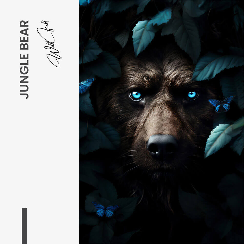 Jungle Bear – Vetro