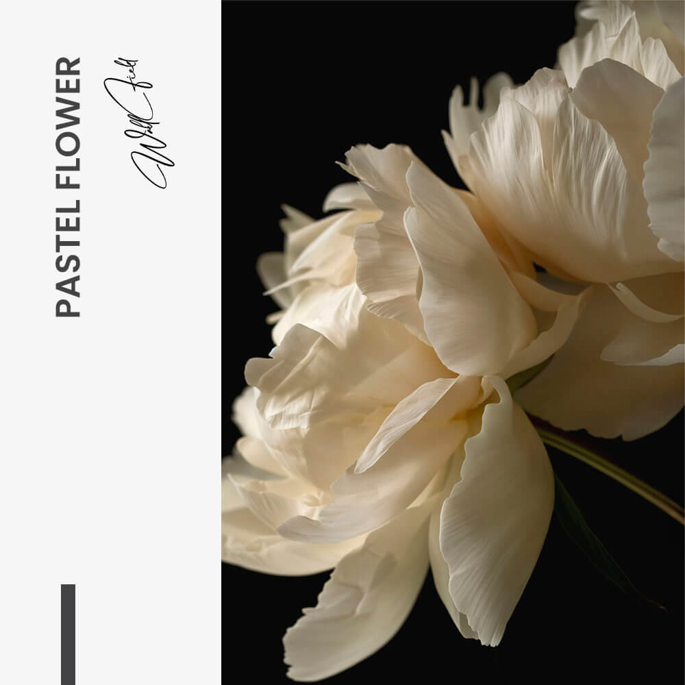 Pastel Flower – Vetro