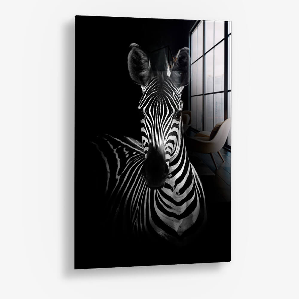 The Zebra – Vetro