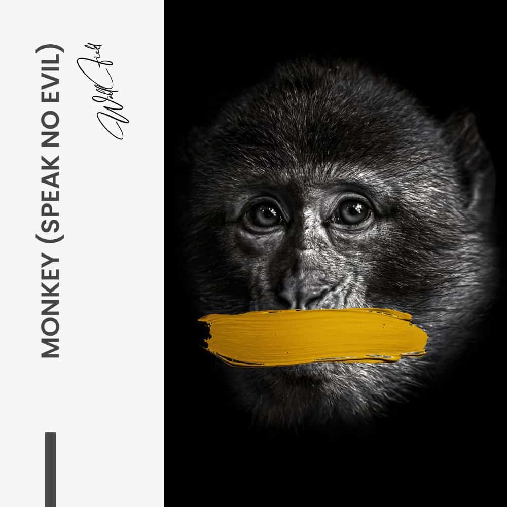 Bundle: “3 Wise Monkeys” (3x) - Vetro