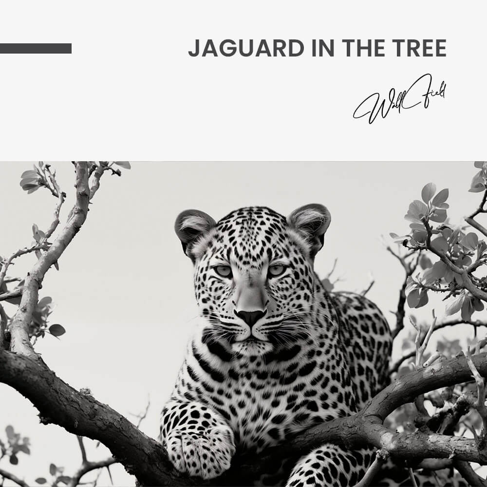 Jaguard In The Tree – Vetro