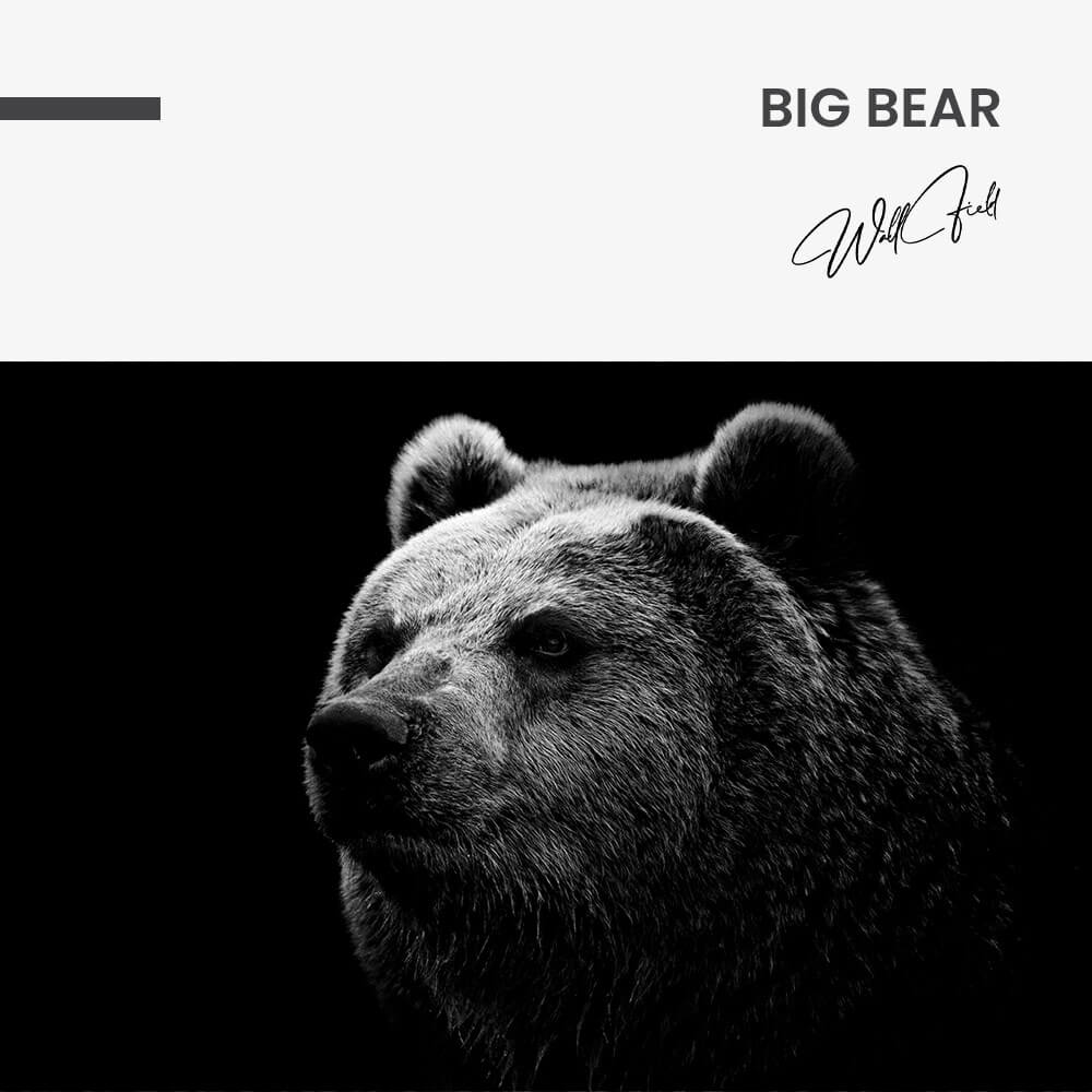 "Big Bear"