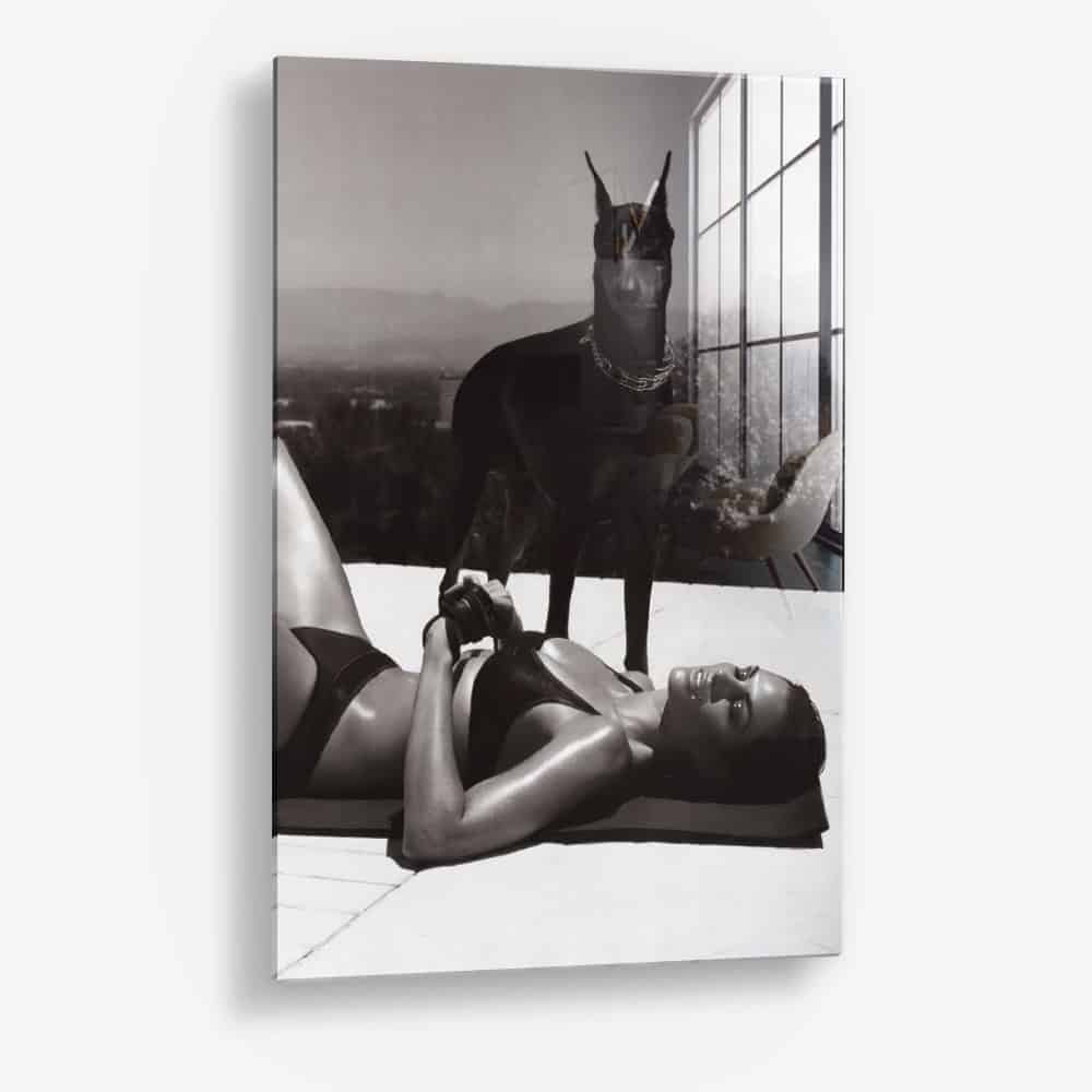The Pool Guard – Vetro