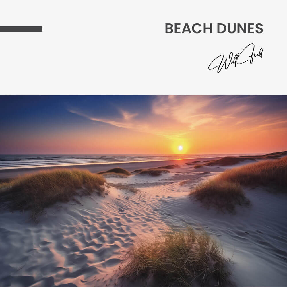 Beach Dunes – Vetro