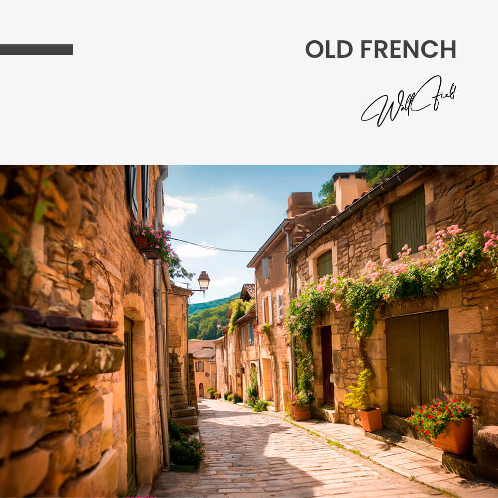 Old French – Vetro