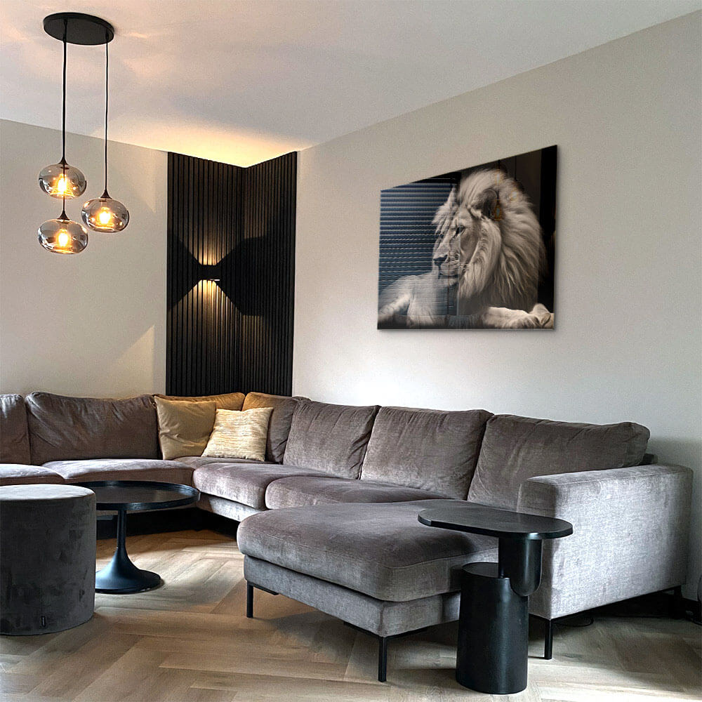King of the Wild – Vetro