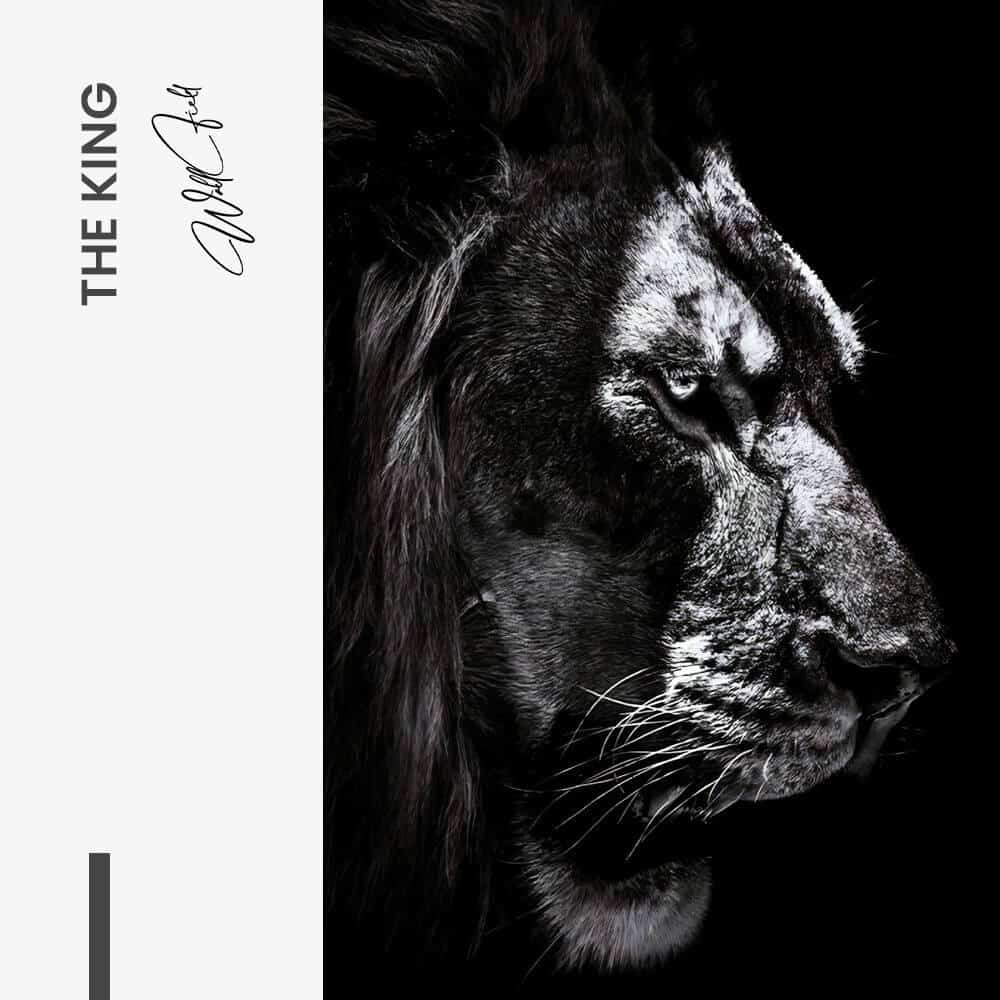 The King – Vetro