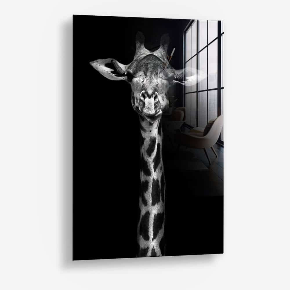 Bundle: "Black Animals" (2x) – Vetro