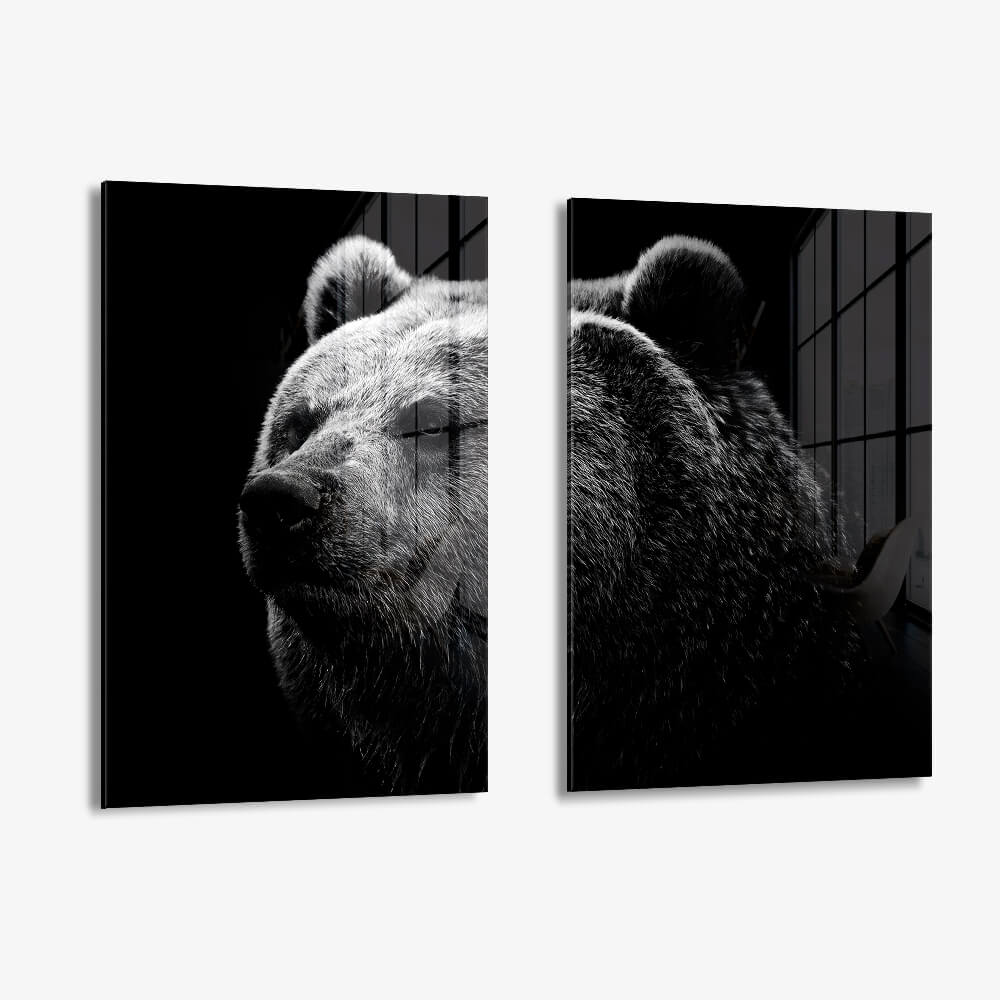 Bundle: "Big Bear" (2x) – Vetro