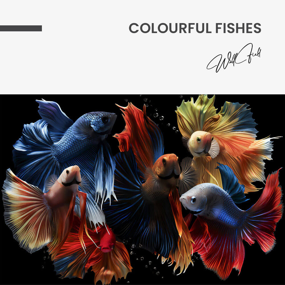 Colourful Fishes – Vetro