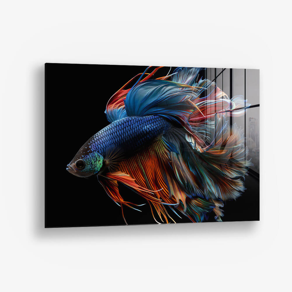 Betta Fish – Vetro