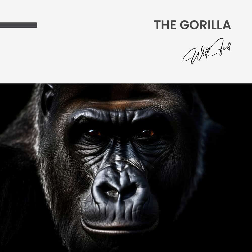 The Gorilla – Vetro