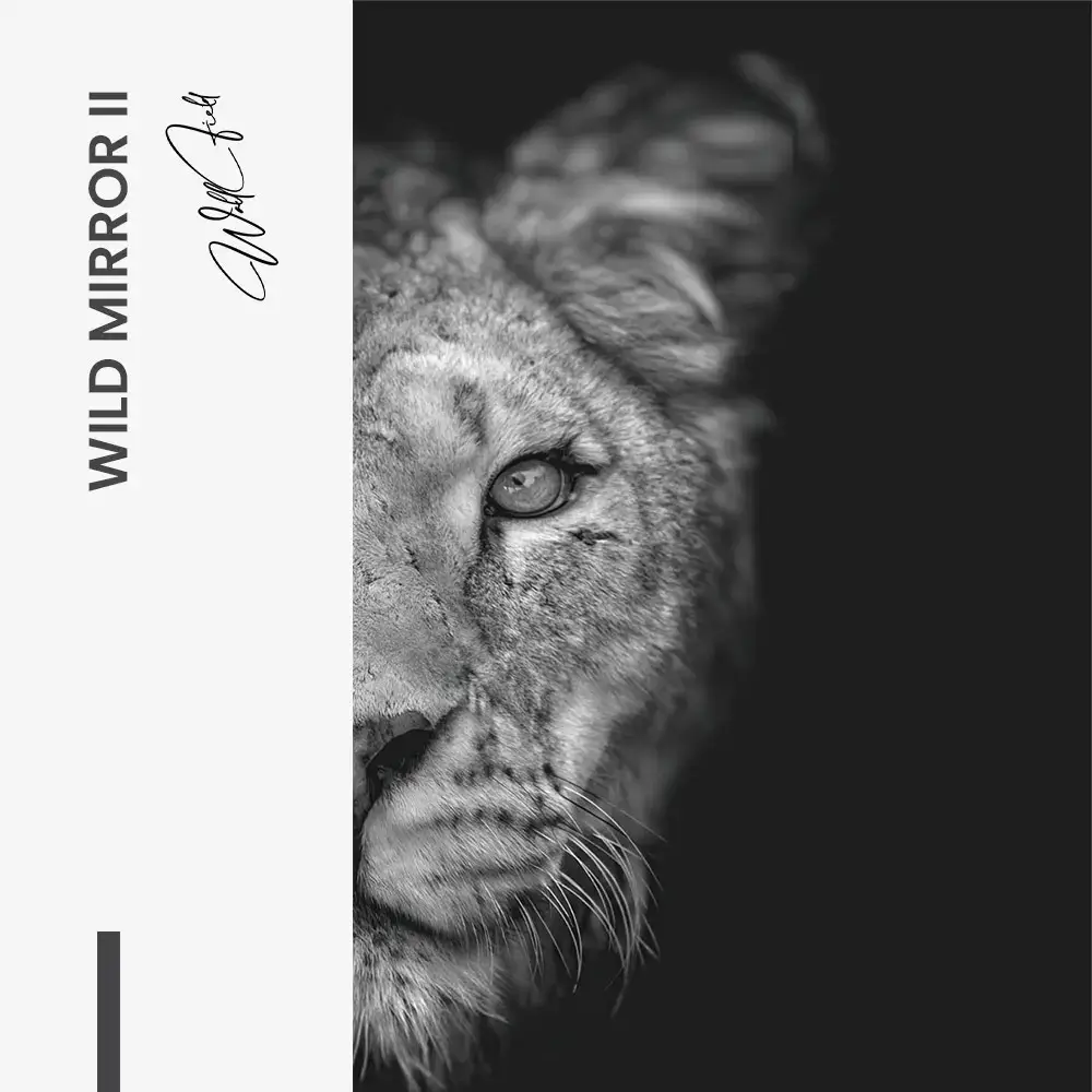 Bundle: "Wild Mirror" (2x) – Vetro