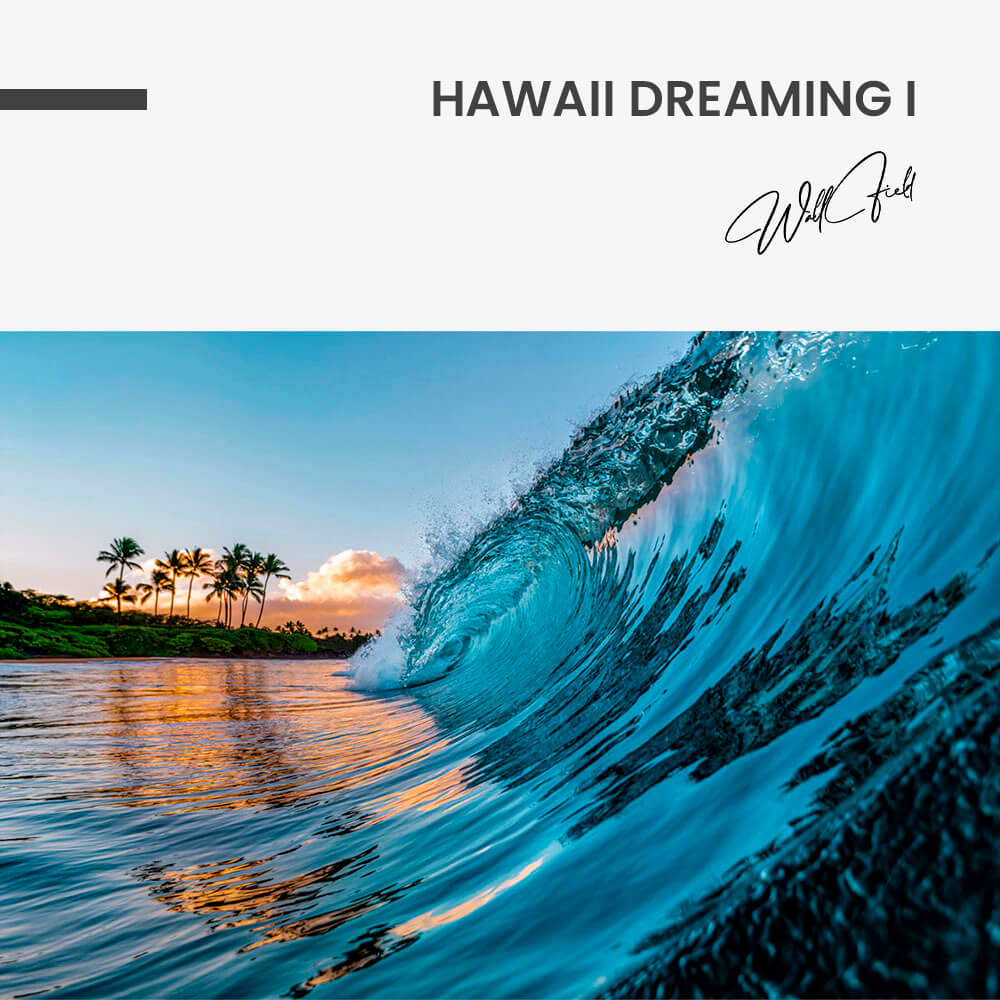 Hawaii Dreaming I – Vetro