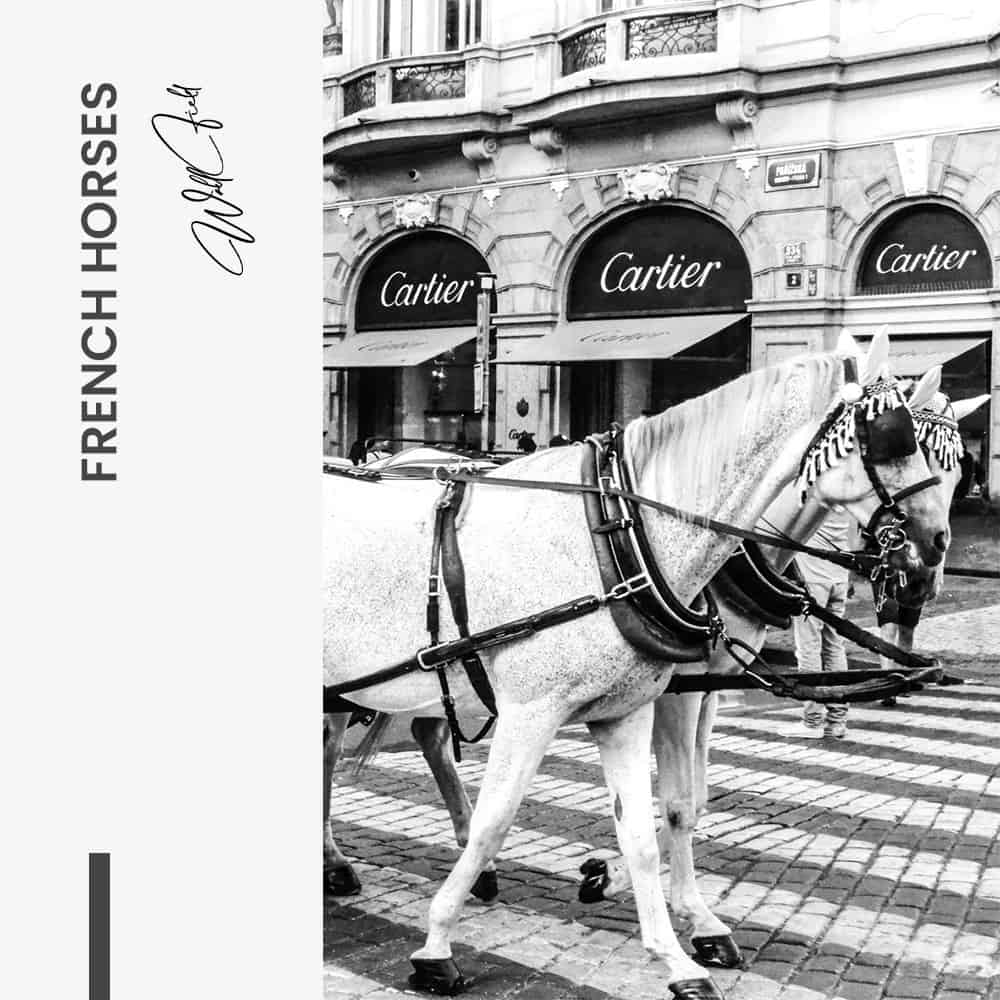 French Horses – Vetro