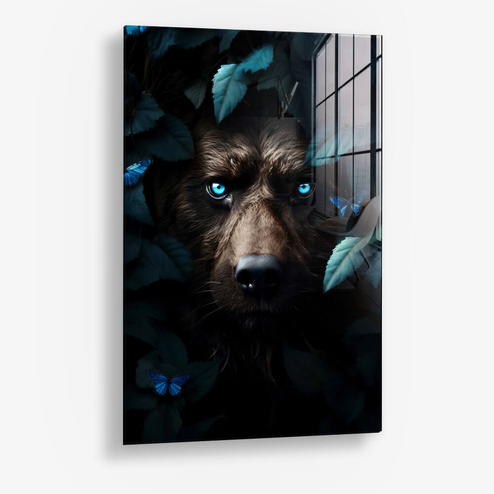 Jungle Bear – Vetro