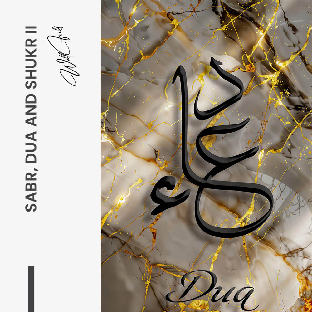Bundle: "Splash" (3x) – Vetro