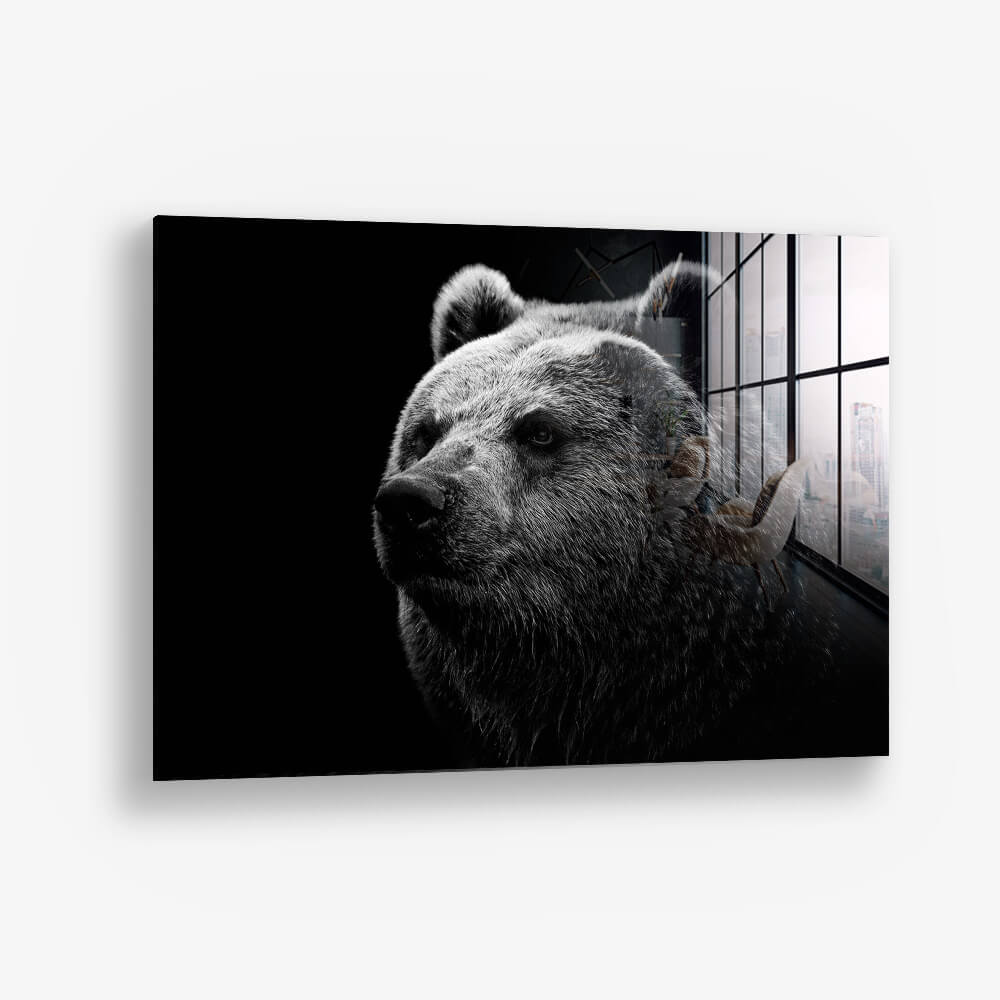 Big Bear – Vetro