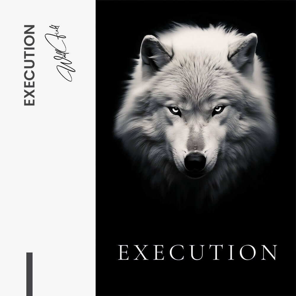 Execution – Vetro