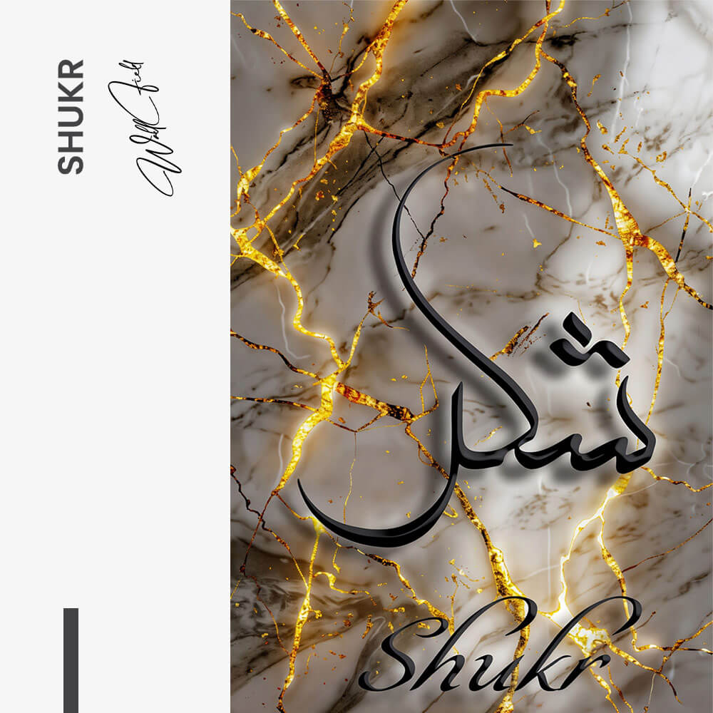 Shukr – Vetro
