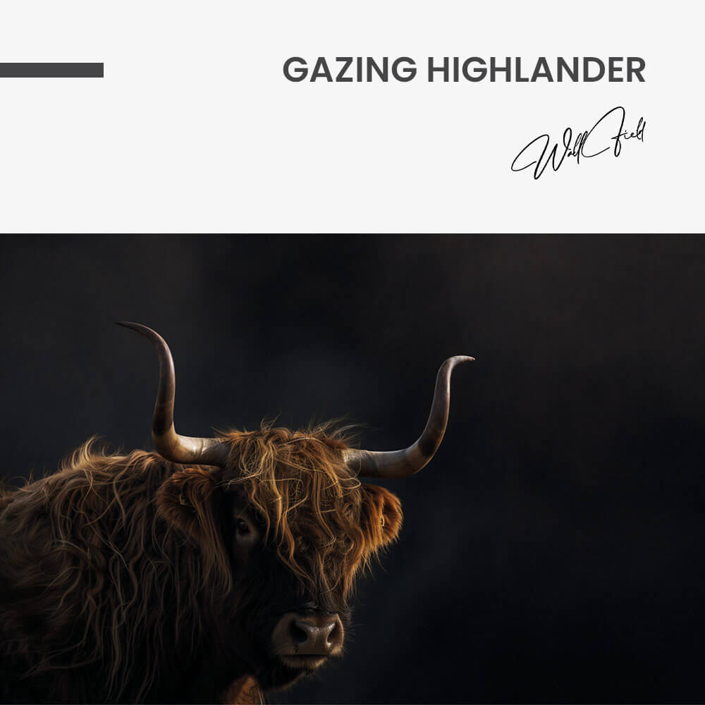 Gazing Highlander – Vetro