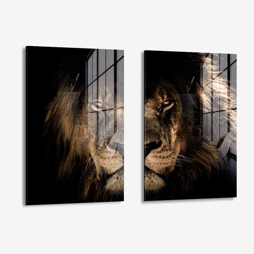 Lion in the Dark (2x) - Glass