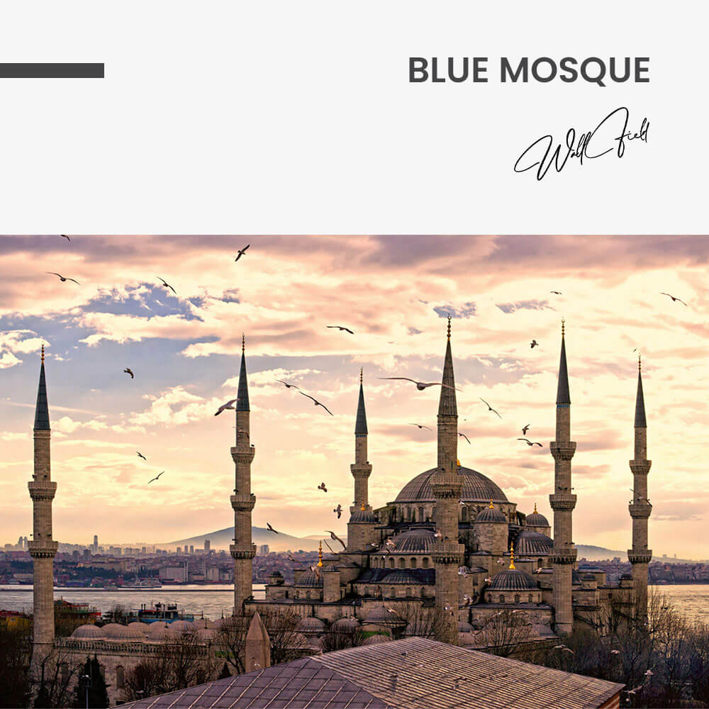 Blue Mosque – Vetro