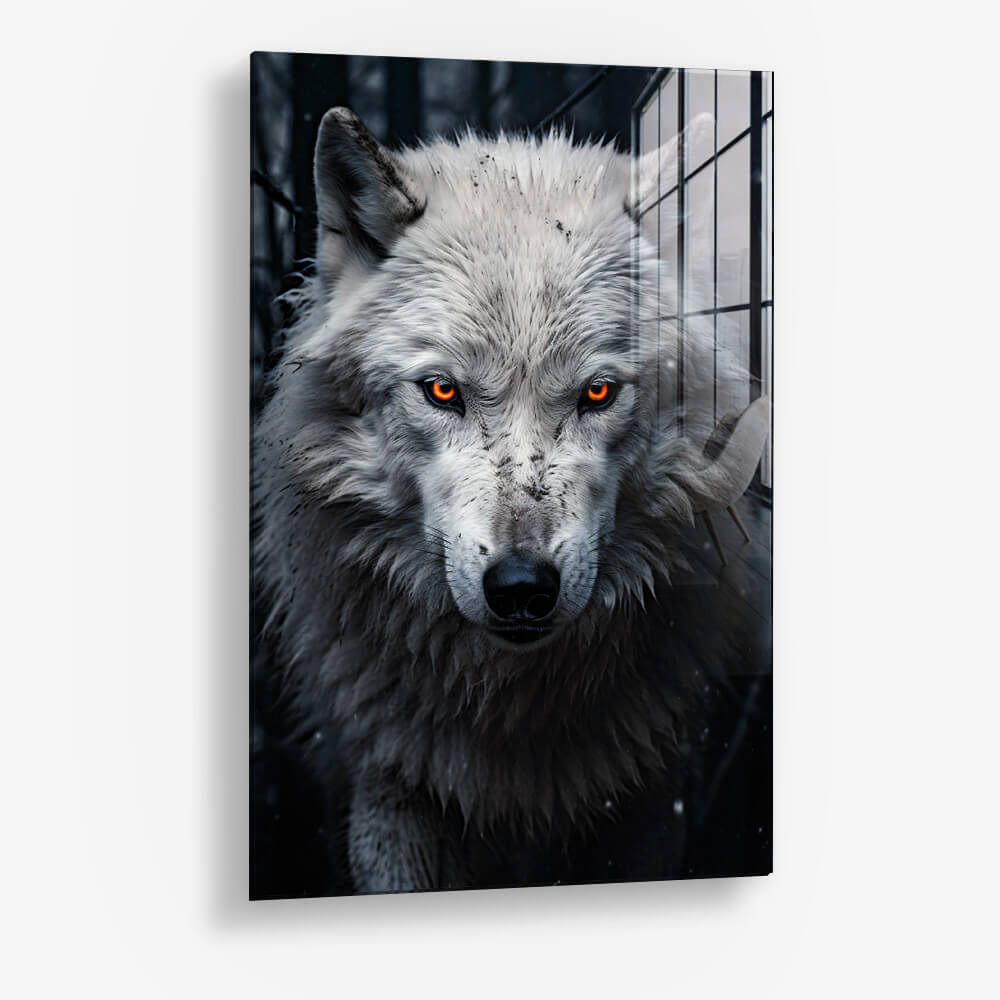Snowy Wolf II – Vetro