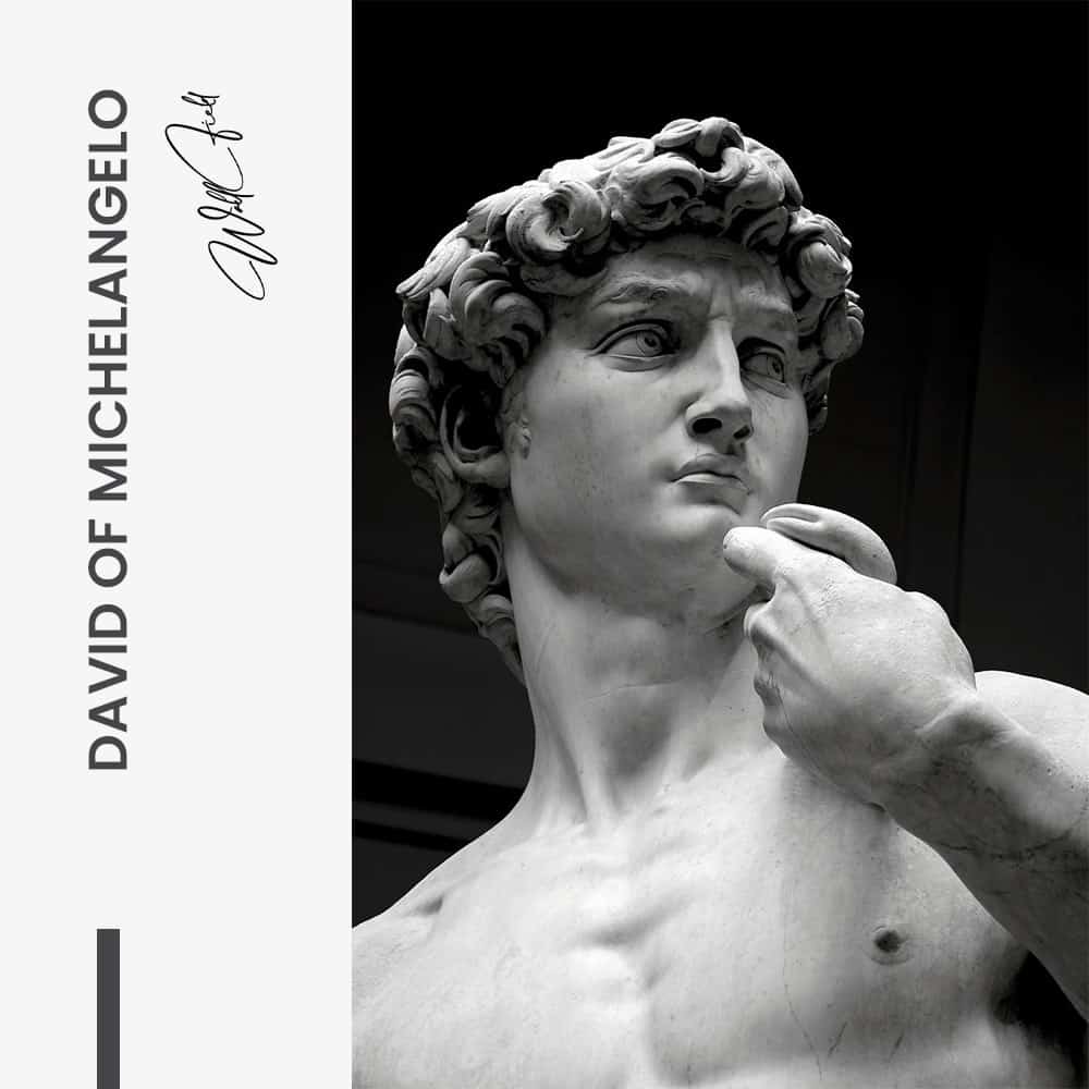 David of Michelangelo – Vetro