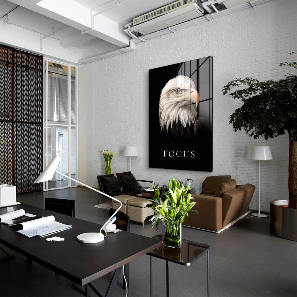 Focus – Vetro