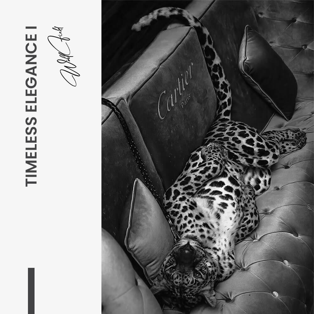 Bundle: "Timeless Elegance" (2x) – Vetro