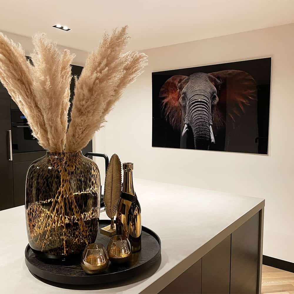 Wild Elephant – Vetro